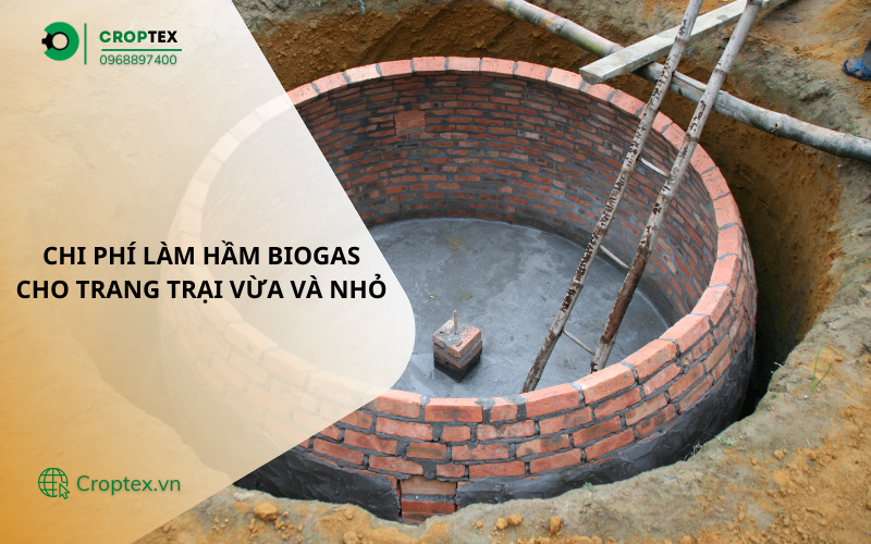 Dung tích hầm biogas phù hợp với quy mô trang trại